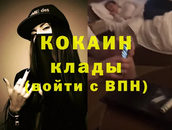 соль ск Алексин