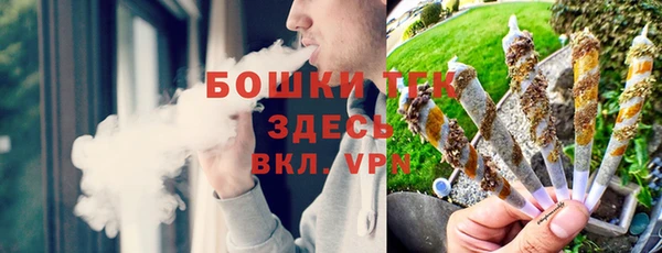 соль ск Алексин