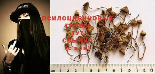 соль ск Алексин